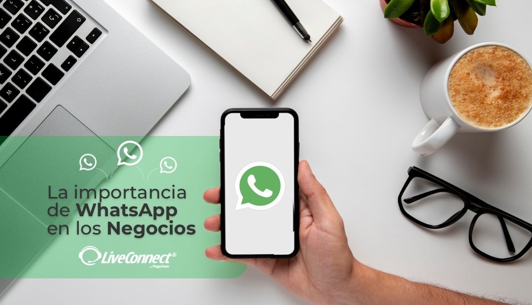 WhatsApp Business: Aprovecha todas sus ventajas para potenciar tu negocio