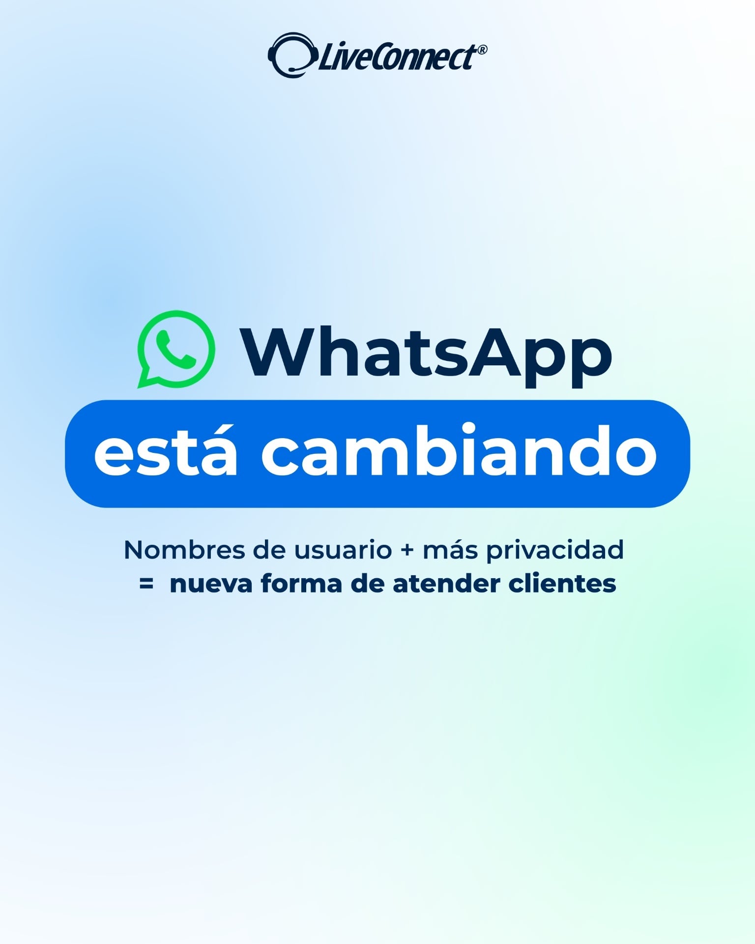 Imagen de WhatsApp introduce nombres de usuario y BSUID