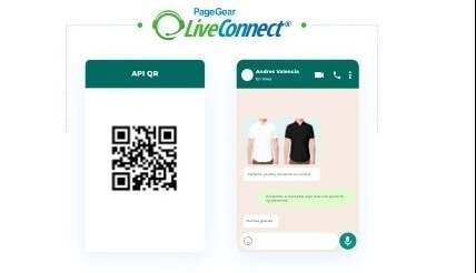 ¿Cómo enviar mensajes masivos por WhatsApp?